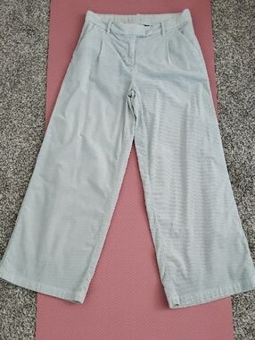 American Eagle Wide Leg Trouser Corduroy